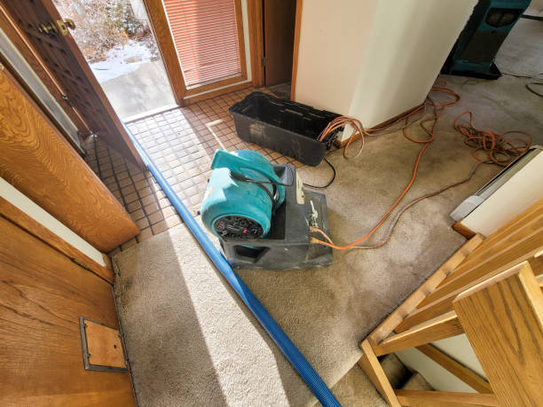 Best Water damage cleanup near me  in Imperial, CA