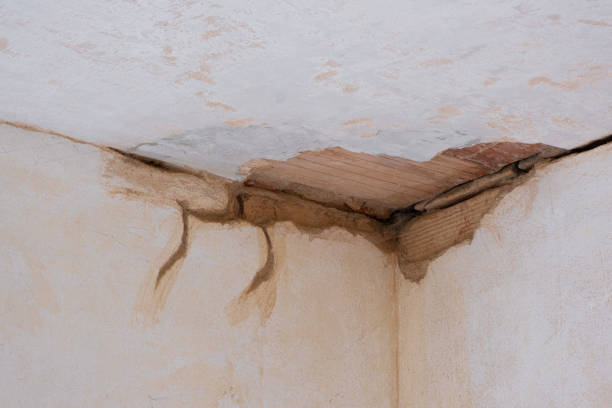 Best Flood damage cleanup  in Imperial, CA