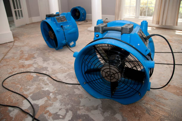 Water damage restoration insurance claims in Imperial, CA