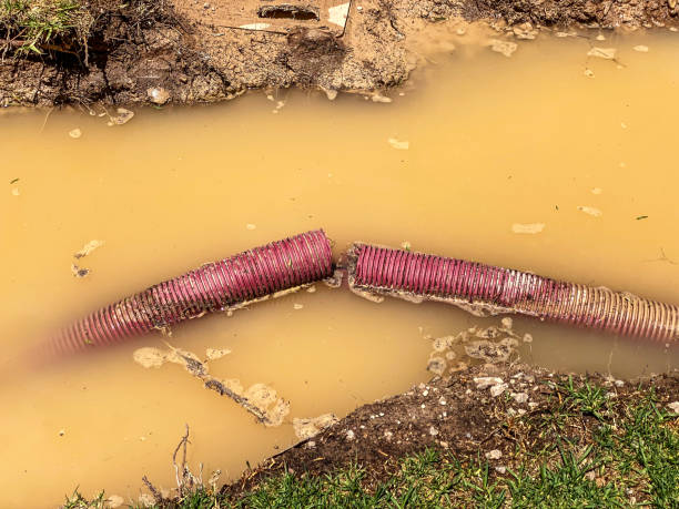 Best Water damage contractors near me  in Imperial, CA